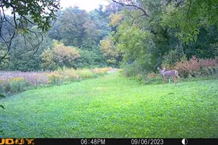 37350 County 14 Blvd, Warsaw Twp, MN 55018 - Photo 83