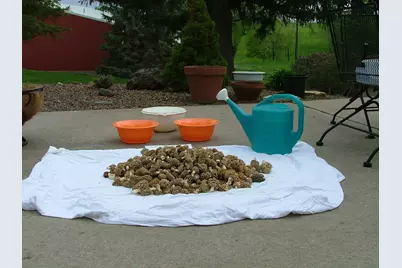 37350 County 14 Boulevard, Warsaw Twp, MN 55018 - Photo 85