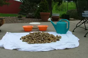 37350 County 14 Blvd, Warsaw Twp, MN 55018 - Photo 85