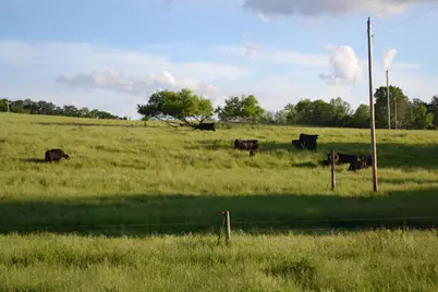 37350 County 14 Boulevard, Warsaw Twp, MN 55018 - Photo 97