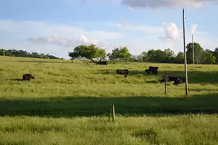 37350 County 14 Blvd, Warsaw Twp, MN 55018 - Photo 97