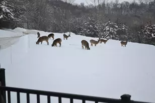 37350 County 14 Blvd, Warsaw Twp, MN 55018 - Photo 79