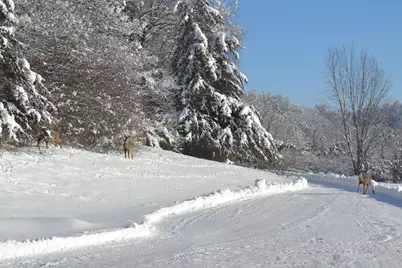 37350 County 14 Boulevard, Warsaw Twp, MN 55018 - Photo 91