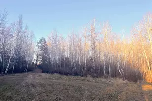 1287 Trinity Pines Ln NW, Powers Twp, MN 56435 - Photo 3