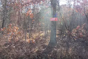 Lot 1 Ferry Rd, Grantsburg, WI 54840 - Photo 1