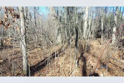 Lot 2 Ferry Rd, Grantsburg, WI 54840 - Photo 5