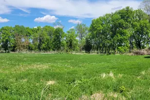 Xxx 455th Ave, New Auburn, MN 55307 - Photo 5