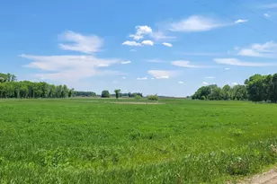 Xxx 455th Ave, New Auburn, MN 55307 - Photo 3