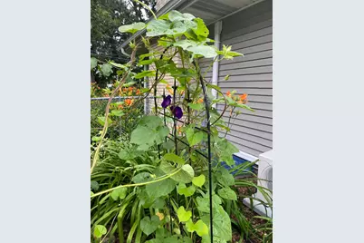 1297 Pinewood Drive, Woodbury, MN 55125 - Photo 59