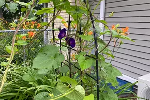 1297 Pinewood Dr, Woodbury, MN 55125 - Photo 59