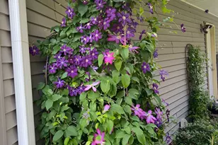 1297 Pinewood Dr, Woodbury, MN 55125 - Photo 51