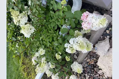 1297 Pinewood Drive, Woodbury, MN 55125 - Photo 61