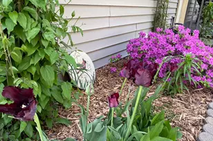 1297 Pinewood Dr, Woodbury, MN 55125 - Photo 53