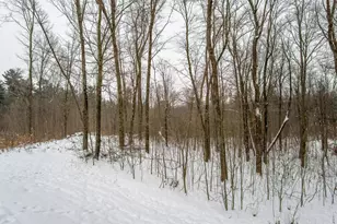 2447 50th Ave, Woodville, WI 54028 - Photo 13