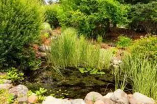 2328 E 3rd St, Duluth, MN 55812 - Photo 49