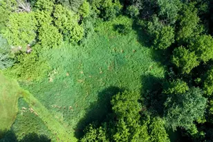 Tbd 169th Ave NE, Ham Lake, MN 55304 - Photo 1