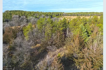Tbd Pine Road NW, Rice, MN 56367 - Photo 13