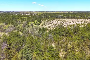 Tbd Pine Road NW, Rice, MN 56367 - Photo 1