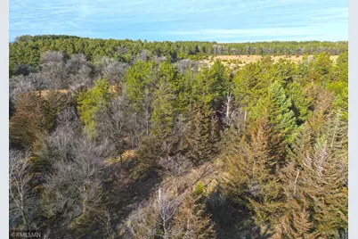 Tbd Pine Road NW, Rice, MN 56367 - Photo 11