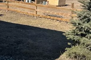 25193 335th Ave, Long Prairie, MN 56347 - Photo 11