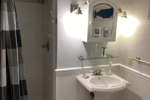 210 Lee Pl, Albert Lea, MN 56007 - Photo 41