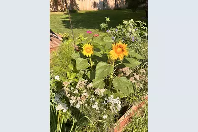 1706 W 86th Street, Bloomington, MN 55431 - Photo 39