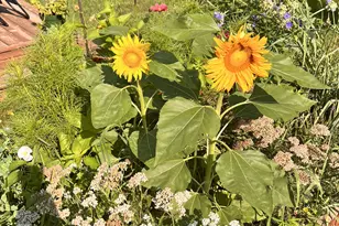 1706 W 86th St, Bloomington, MN 55431 - Photo 39