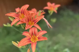 1706 W 86th St, Bloomington, MN 55431 - Photo 45