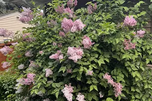 1706 W 86th St, Bloomington, MN 55431 - Photo 37