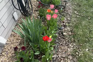 1706 W 86th St, Bloomington, MN 55431 - Photo 43