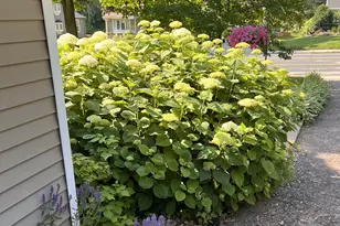 1706 W 86th St, Bloomington, MN 55431 - Photo 35