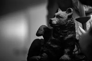 51997 State Hwy 46, Squaw Lake, MN 56681 - Photo 103