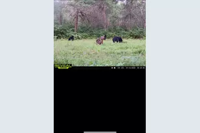 239 County 49 NW, Pine River, MN 56474 - Photo 83