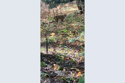 239 County 49 NW, Pine River, MN 56474 - Photo 87