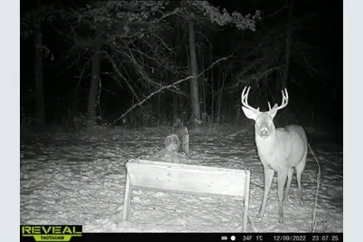 239 County 49 NW, Pine River, MN 56474 - Photo 77