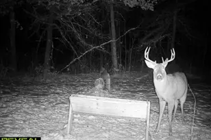 239 County 49 NW, Pine River, MN 56474 - Photo 77