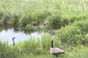 239 County 49 NW, Pine River, MN 56474 - Photo 73