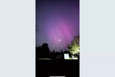 239 County 49 NW, Pine River, MN 56474 - Photo 91