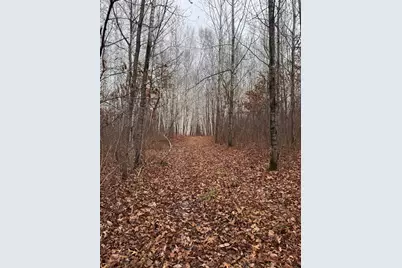 239 County 49 NW, Pine River, MN 56474 - Photo 103