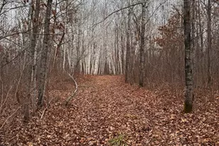 239 County 49 NW, Pine River, MN 56474 - Photo 103