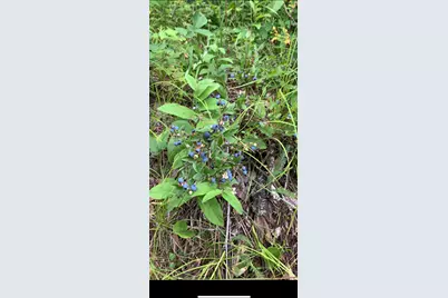 239 County 49 NW, Pine River, MN 56474 - Photo 83