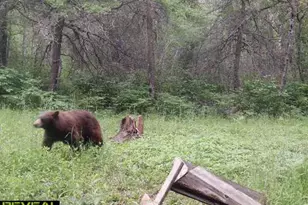 239 County 49 NW, Pine River, MN 56474 - Photo 75