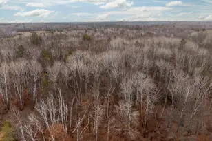 239 County 49 NW, Pine River, MN 56474 - Photo 19