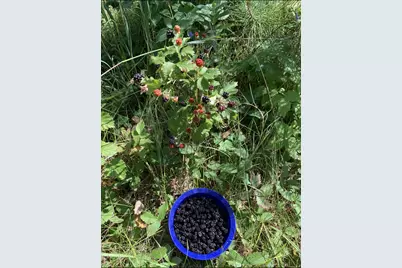 239 County 49 NW, Pine River, MN 56474 - Photo 81