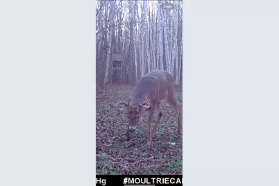 239 County 49 NW, Pine River, MN 56474 - Photo 65