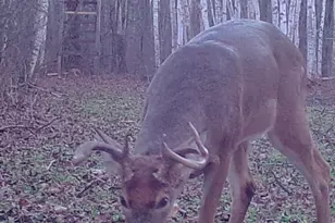 239 County 49 NW, Pine River, MN 56474 - Photo 65