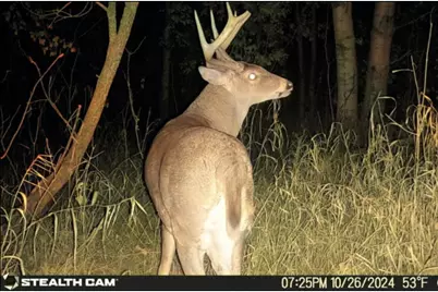 239 County 49 NW, Pine River, MN 56474 - Photo 67