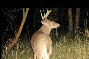 239 County 49 NW, Pine River, MN 56474 - Photo 67