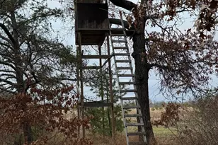 239 County 49 NW, Pine River, MN 56474 - Photo 93