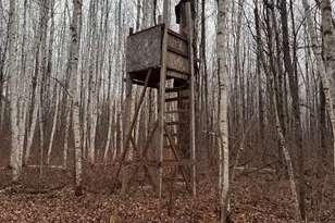 239 County 49 NW, Pine River, MN 56474 - Photo 105